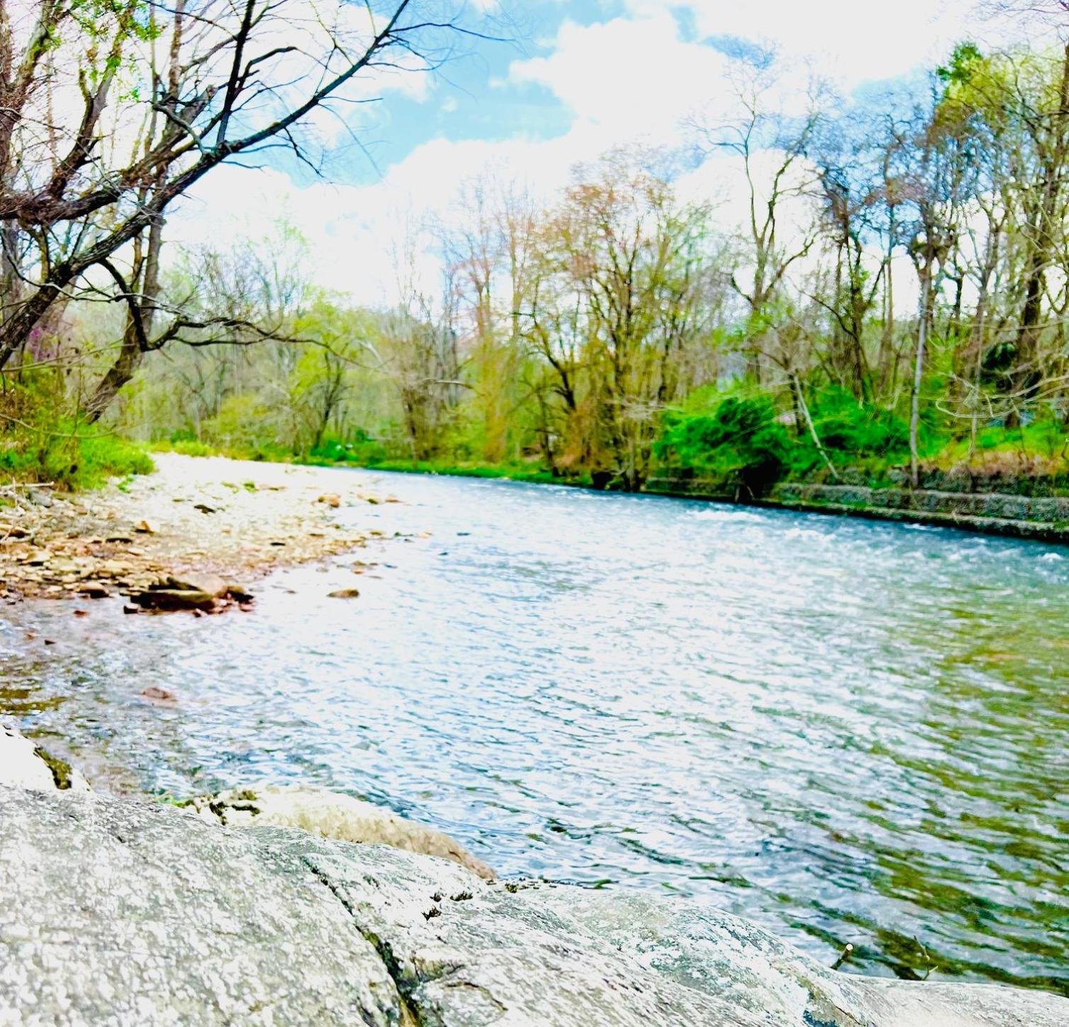 Newfound Lodge On The River Cherokee Dış mekan fotoğraf